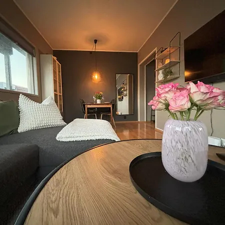 Sentrumsnaer Midt I Sentrum Appartement
