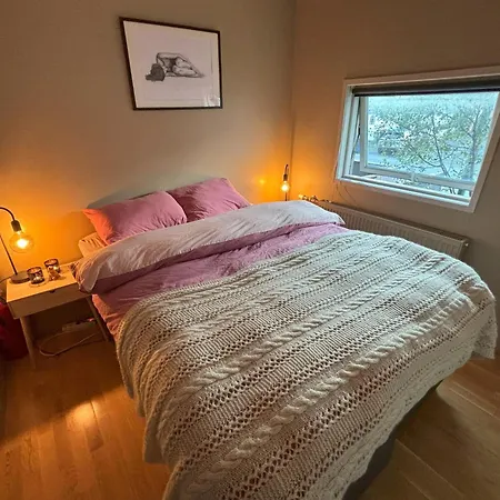 Sentrumsnaer Midt I Sentrum * Tromsø